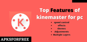 Top Features of kinemaster for pc