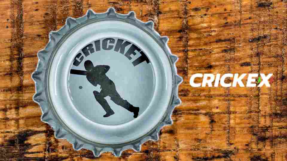 Image for Crickex App