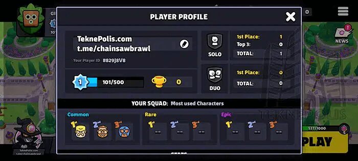 Player Profile of Squad Buster Game