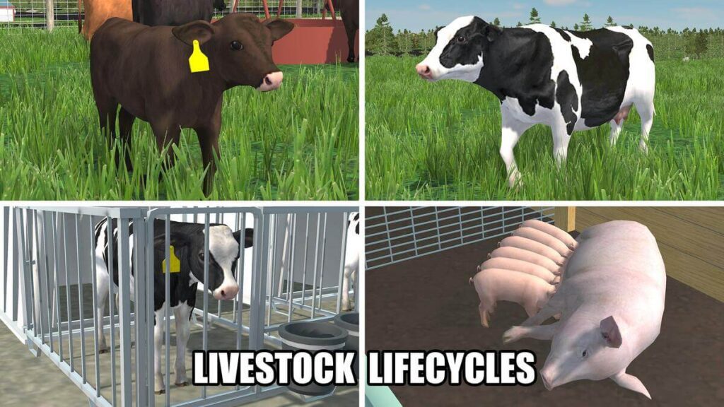 LiveStock Lifecycles in American Farming APK