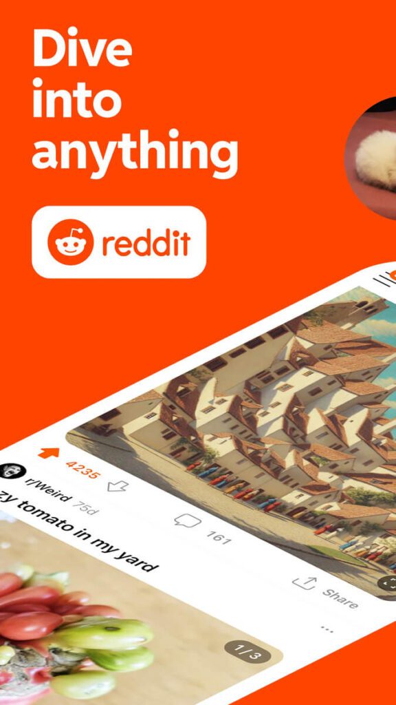 Dive into Anything using Reddit APK